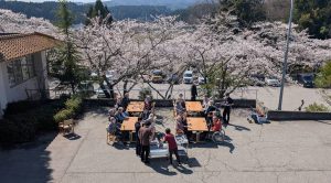施設の駐車場で桜の木の下に停められた車両。春の景観